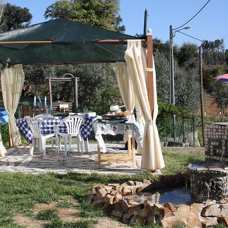 Quinta De S. Luis - Valada Villa Figueiro Dos Vinhos Eksteriør billede