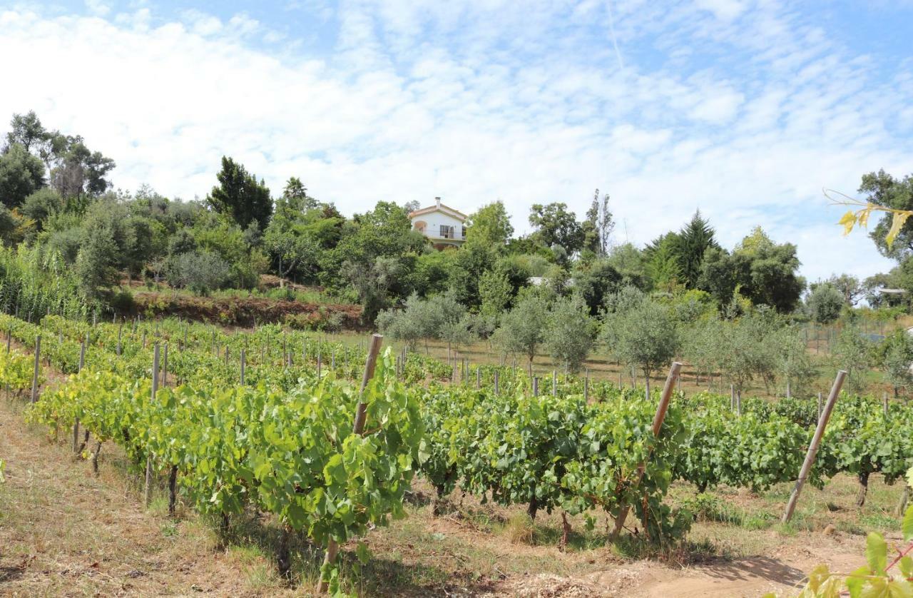 Quinta De S. Luis - Valada Villa Figueiro Dos Vinhos Eksteriør billede