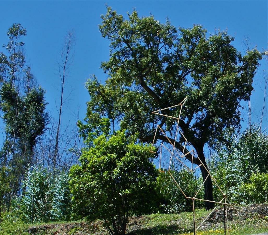 Quinta De S. Luis - Valada Villa Figueiro Dos Vinhos Eksteriør billede